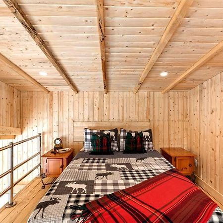 Cozy Cabin For Intimate Wilderness Escape Bathurst Exterior foto